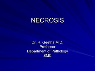 NECROSIS


  Dr. R. Geetha M.D.
       Professor
Department of Pathology
         SMC
 