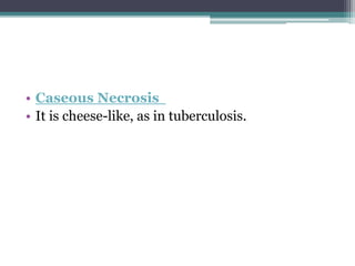 • Caseous Necrosis
• It is cheese-like, as in tuberculosis.
 