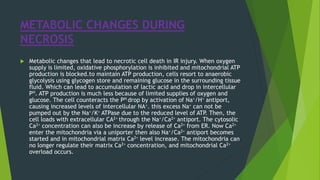 METABOLIC CHANGES DURING
NECROSIS
 Metabolic changes that lead to necrotic cell death in IR injury. When oxygen
supply is limited, oxidative phosphorylation is inhibited and mitochondrial ATP
production is blocked.to maintain ATP production, cells resort to anaerobic
glycolysis using glycogen store and remaining glucose in the surrounding tissue
fluid. Which can lead to accumulation of lactic acid and drop in intercellular
PH. ATP production is much less because of limited supplies of oxygen and
glucose. The cell counteracts the PH drop by activation of Na+/H+ antiport,
causing increased levels of intercellular NA+. this excess Na+ can not be
pumped out by the Na+/K+ ATPase due to the reduced level of ATP. Then, the
cell loads with extracellular CA2+ through the Na+/Ca2+ antiport. The cytosolic
Ca2+ concentration can also be increase by release of Ca2+ from ER. Now Ca2+
enter the mitochondria via a uniporter then also Na+/Ca2+ antiport becomes
started and in mitochondrial matrix Ca2+ level increase. The mitochondria can
no longer regulate their matrix Ca2+ concentration, and mitochondrial Ca2+
overload occurs.
 