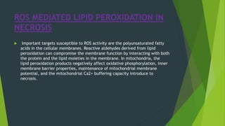 ROS MEDIATED LIPID PEROXIDATION IN
NECROSIS
 Important targets susceptible to ROS activity are the polyunsaturated fatty
acids in the cellular membranes. Reactive aldehydes derived from lipid
peroxidation can compromise the membrane function by interacting with both
the protein and the lipid moieties in the membrane. In mitochondria, the
lipid peroxidation products negatively affect oxidative phosphorylation, inner
membrane barrier properties, maintenance of mitochondrial membrane
potential, and the mitochondrial Ca2+ buffering capacity introduce to
necrosis.
 