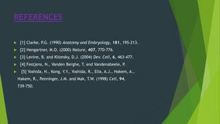 REFERENCES
 [1] Clarke, P.G. (1990) Anatomy and Embryology, 181, 195-213.
 [2] Hengartner, M.O. (2000) Nature, 407, 770-776.
 [3] Levine, B. and Klionsky, D.J. (2004) Dev. Cell, 6, 463-477.
 [4] Festjens, N., Vanden Berghe, T. and Vandenabeele, P.
 [5] Yoshida, H., Kong, Y.Y., Yoshida, R., Elia, A.J., Hakem, A.,
Hakem, R., Penninger, J.M. and Mak, T.W. (1998) Cell, 94,
739-750.
 