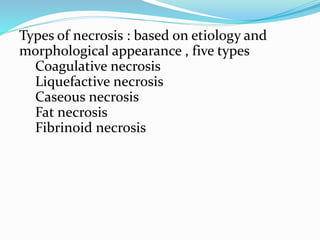 Types of necrosis : based on etiology and
morphological appearance , five types
Coagulative necrosis
Liquefactive necrosis
Caseous necrosis
Fat necrosis
Fibrinoid necrosis
 