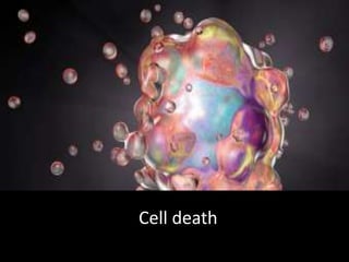 Cell death | PPTX