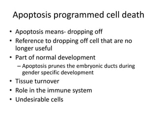 Cell death | PPTX