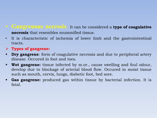 • Gangrenous necrosis: It can be considered a type of coagulative
necrosis that resembles mummified tissue.
• It is characteristic of ischemia of lower limb and the gastrointestinal
tracts.
 Types of gangrene:
 Dry gangrene: form of coagulative necrosis and due to peripheral artery
disease. Occured in foot and toes.
 Wet gangrene: tissue infected by m.or., cause swelling and foul odour,
develop due to blockage of arterial blood flow. Occured in moist tissue
such as mouth, cervix, lungs, diabetic foot, bed sore.
 Gas gangrene: produced gas within tissue by bacterial infection. It is
fatal.
 