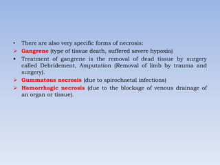 • There are also very specific forms of necrosis:
 Gangrene (type of tissue death, suffered severe hypoxia)
 Treatment of gangrene is the removal of dead tissue by surgery
called Debridement, Amputation (Removal of limb by trauma and
surgery).
 Gummatous necrosis (due to spirochaetal infections)
 Hemorrhagic necrosis (due to the blockage of venous drainage of
an organ or tissue).
 