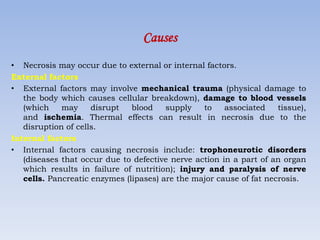 • Necrosis may occur due to external or internal factors.
External factors
• External factors may involve mechanical trauma (physical damage to
the body which causes cellular breakdown), damage to blood vessels
(which may disrupt blood supply to associated tissue),
and ischemia. Thermal effects can result in necrosis due to the
disruption of cells.
Internal factors
• Internal factors causing necrosis include: trophoneurotic disorders
(diseases that occur due to defective nerve action in a part of an organ
which results in failure of nutrition); injury and paralysis of nerve
cells. Pancreatic enzymes (lipases) are the major cause of fat necrosis.
Causes
 