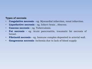 Types of necrosis
• Coagulative necrosis – eg. Myocardial infarction, renal infarction.
• Liquefactive necrosis – eg. Infarct brain , Abscess.
• Caseous necrosis – eg. Tuberculosis.
• Fat necrosis – eg. Acute pancreatitis, traumatic fat necrosis of
breast.
• Fibrinoid necrosis – eg. Immune complex deposited in arterial wall.
• Gangrenous necrosis- Ischemia due to lack of blood supply
 