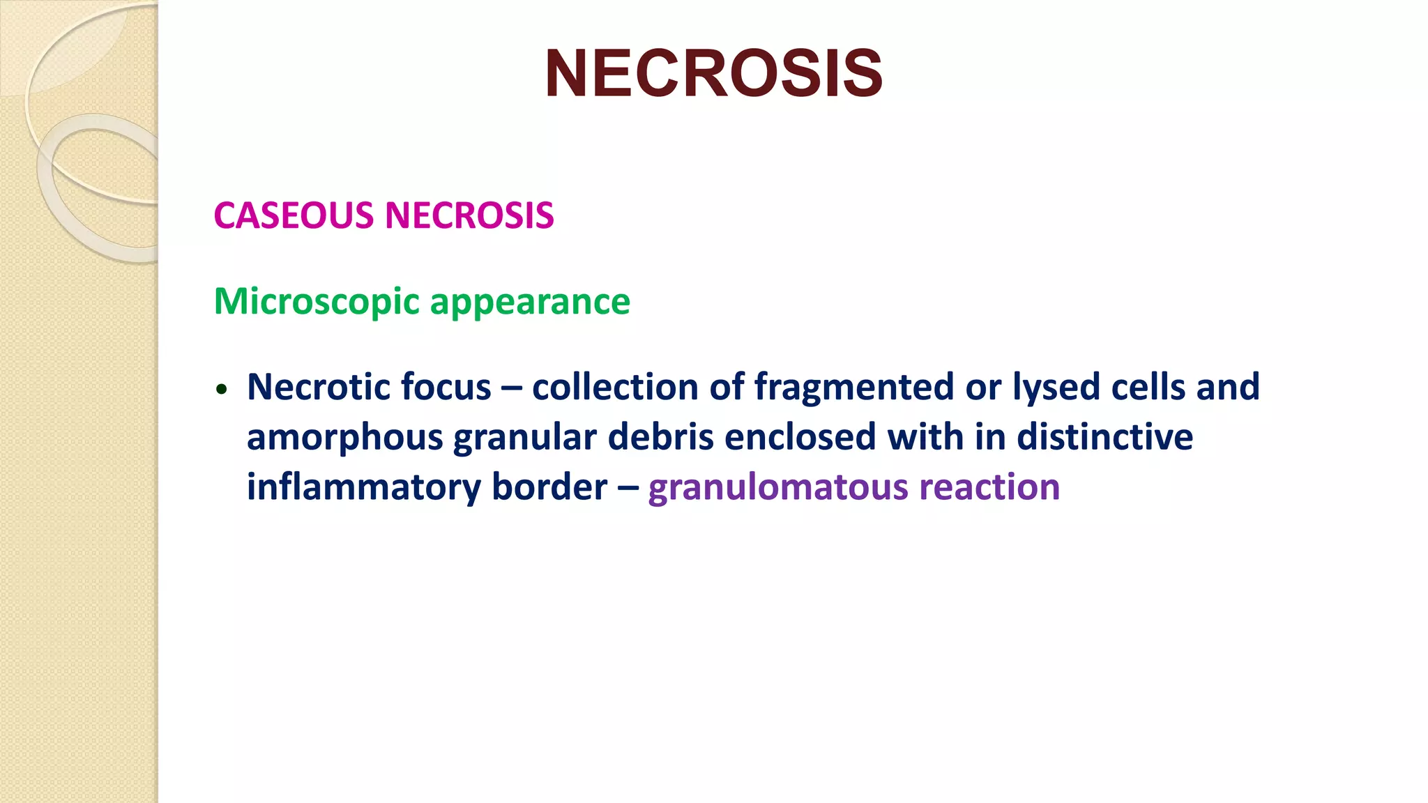 NECROSIS
CASEOUS NECROSIS
Microscopic appearance
• Necrotic focus – collection of fragmented or lysed cells and
amorphous granular debris enclosed with in distinctive
inflammatory border – granulomatous reaction
 