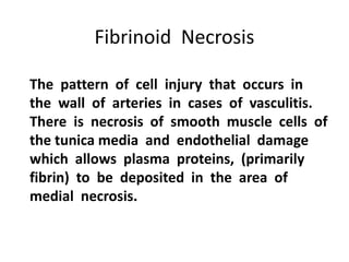 Fibrinoid Necrosis
The pattern of cell injury that occurs in
the wall of arteries in cases of vasculitis.
There is necrosis of smooth muscle cells of
the tunica media and endothelial damage
which allows plasma proteins, (primarily
fibrin) to be deposited in the area of
medial necrosis.
 