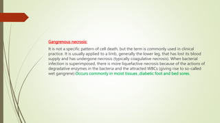 Gangrenous necrosis:
It is not a specific pattern of cell death, but the term is commonly used in clinical
practice. It is usually applied to a limb, generally the lower leg, that has lost its blood
supply and has undergone necrosis (typically coagulative necrosis). When bacterial
infection is superimposed, there is more liquefactive necrosis because of the actions of
degradative enzymes in the bacteria and the attracted WBCs (giving rise to so-called
wet gangrene).Occurs commonly in moist tissues ,diabetic foot and bed sores.
 