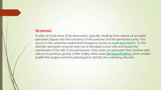 Fat necrosis:
It refers to focal areas of fat destruction, typically resulting from release of activated
pancreatic lipases into the substance of the pancreas and the peritoneal cavity. This
occurs in the calamitous abdominal emergency known as acute pancreatitis . In this
disorder, pancreatic enzymes leak out of damaged acinar cells and liquefy the
membranes of fat cells in the peritoneum. Fatty acids are generated that combine with
calcium to produce grossly visible chalky-white areas (fat saponification), which enable
enable the surgeon and the pathologist to identify the underlying disorder.
 