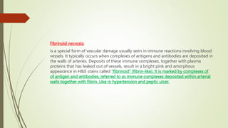 Fibrinoid necrosis:
is a special form of vascular damage usually seen in immune reactions involving blood
vessels. It typically occurs when complexes of antigens and antibodies are deposited in
the walls of arteries. Deposits of these immune complexes, together with plasma
proteins that has leaked out of vessels, result in a bright pink and amorphous
appearance in H&E stains called “fibrinoid” (fibrin-like). It is marked by complexes of
of antigen and antibodies, referred to as immune complexes deposited within arterial
walls together with fibrin. Like in hypertension and peptic ulcer.
 