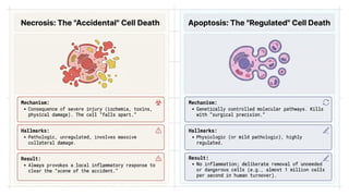 Necrosis: The Uncontrolled Cellular Death | Pathology Presentation by ...