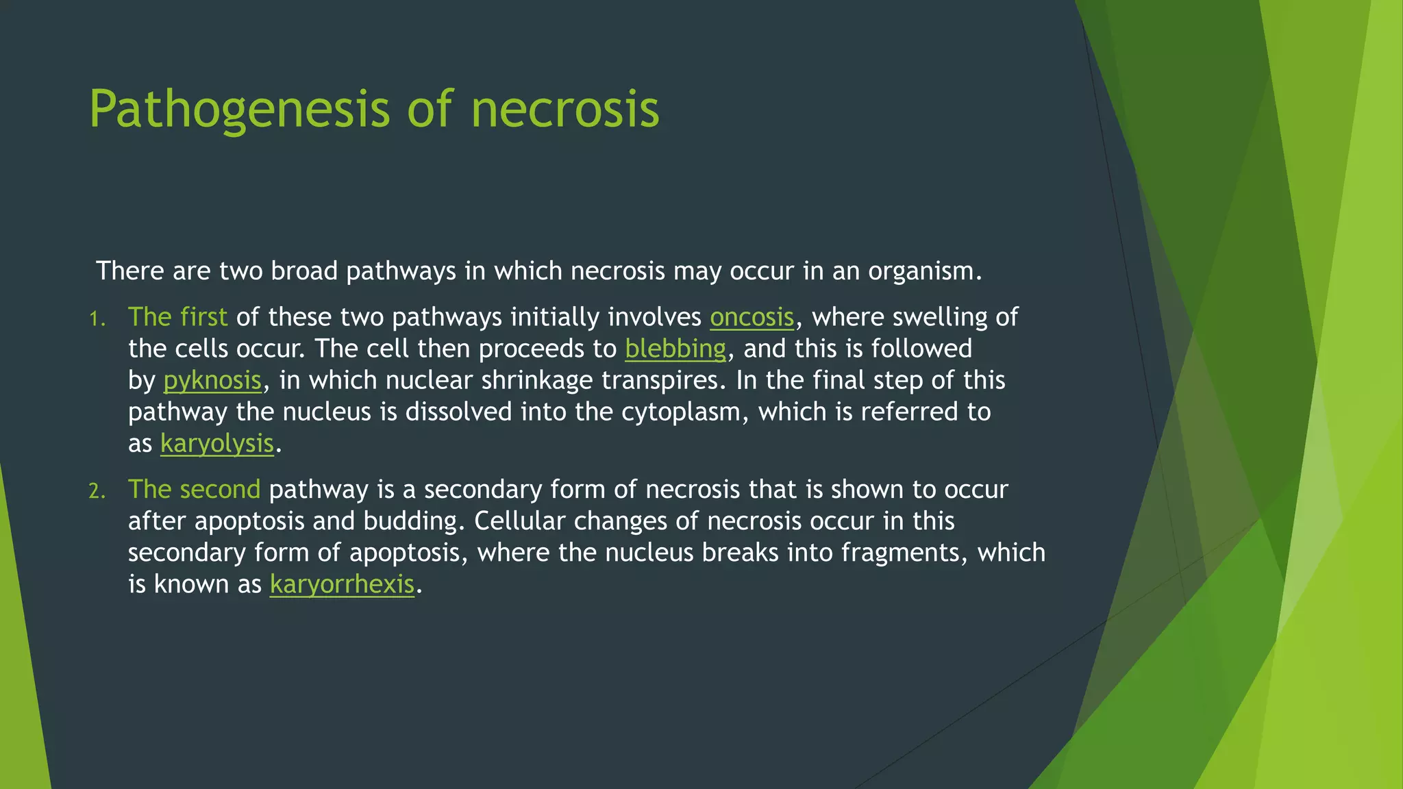 Necrosis and apoptosis | PPTX