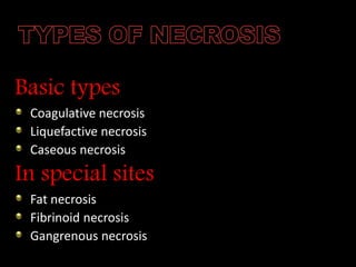 Basic types
Coagulative necrosis
Liquefactive necrosis
Caseous necrosis
In special sites
Fat necrosis
Fibrinoid necrosis
Gangrenous necrosis
 