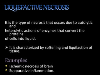 It is the type of necrosis that occurs due to autolytic
and
heterolytic actions of enzymes that convert the
proteins
of cells into liquid.
 It is characterized by softening and liquifaction of
tissue.
Examples
Ischemic necrosis of brain
Suppurative inflammation.
 