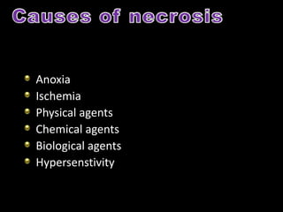 Anoxia
Ischemia
Physical agents
Chemical agents
Biological agents
Hypersenstivity
 