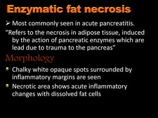  Most commonly seen in acute pancreatitis.
“Refers to the necrosis in adipose tissue, induced
by the action of pancreatic enzymes which are
lead due to trauma to the pancreas”
Morphology
Chalky white opaque spots surrounded by
inflammatory margins are seen
Necrotic area shows acute inflammatory
changes with dissolved fat cells
 