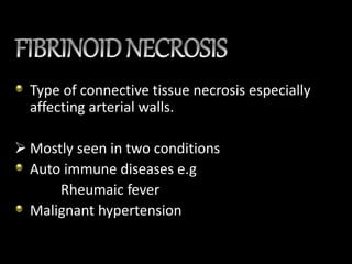 Type of connective tissue necrosis especially
affecting arterial walls.
 Mostly seen in two conditions
Auto immune diseases e.g
Rheumaic fever
Malignant hypertension
 