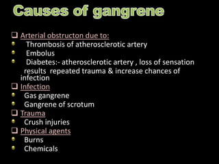  Arterial obstructon due to:
Thrombosis of atherosclerotic artery
Embolus
Diabetes:- atherosclerotic artery , loss of sensation
results repeated trauma & increase chances of
infection
 Infection
Gas gangrene
Gangrene of scrotum
 Trauma
Crush injuries
 Physical agents
Burns
Chemicals
 