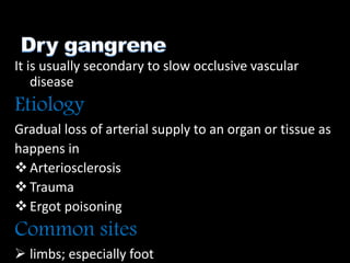It is usually secondary to slow occlusive vascular
disease
Etiology
Gradual loss of arterial supply to an organ or tissue as
happens in
Arteriosclerosis
Trauma
Ergot poisoning
Common sites
 limbs; especially foot
 
