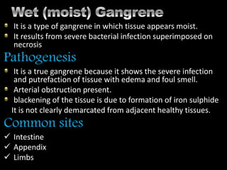 It is a type of gangrene in which tissue appears moist.
It results from severe bacterial infection superimposed on
necrosis
Pathogenesis
It is a true gangrene because it shows the severe infection
and putrefaction of tissue with edema and foul smell.
Arterial obstruction present.
blackening of the tissue is due to formation of iron sulphide
It is not clearly demarcated from adjacent healthy tissues.
Common sites
 Intestine
 Appendix
 Limbs
 