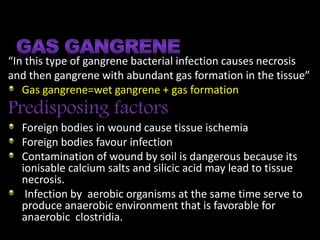 “In this type of gangrene bacterial infection causes necrosis
and then gangrene with abundant gas formation in the tissue”
Gas gangrene=wet gangrene + gas formation
Predisposing factors
Foreign bodies in wound cause tissue ischemia
Foreign bodies favour infection
Contamination of wound by soil is dangerous because its
ionisable calcium salts and silicic acid may lead to tissue
necrosis.
Infection by aerobic organisms at the same time serve to
produce anaerobic environment that is favorable for
anaerobic clostridia.
 
