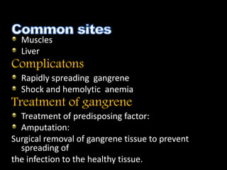 Muscles
Liver
Complicatons
Rapidly spreading gangrene
Shock and hemolytic anemia
Treatment of gangrene
Treatment of predisposing factor:
Amputation:
Surgical removal of gangrene tissue to prevent
spreading of
the infection to the healthy tissue.
 