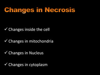  Changes inside the cell
 Changes in mitochondria
 Changes in Nucleus
 Changes in cytoplasm
 