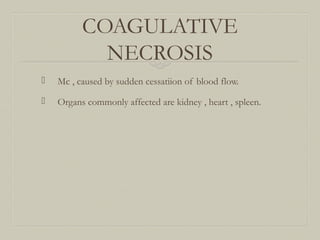 COAGULATIVE
NECROSIS
 Mc , caused by sudden cessatiion of blood flow.
 Organs commonly affected are kidney , heart , spleen.
 