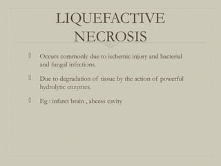 LIQUEFACTIVE
NECROSIS
 Occurs commonly due to ischemic injury and bacterial
and fungal infections.
 Due to degradation of tissue by the action of powerful
hydrolytic enzymes.
 Eg : infarct brain , abcess cavity
 