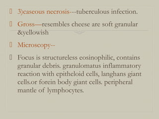  3)caseous necrosis---tuberculous infection.
 Gross—resembles cheese are soft granular
&yellowish
 Microscopy--
 Focus is structureless eosinophilic, contains
granular debris. granulomatus inflammatory
reaction with epitheloid cells, langhans giant
cells.or forein body giant cells. peripheral
mantle of lymphocytes.
 