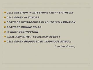 CELL DELETION IN INTESTINAL CRYPT EPITHELIA
CELL DEATH IN TUMORS
DEATH OF NEUTROPHILS IN ACUTE INFLAMMATION
DEATH OF IMMUNE CELLS
IN DUCT OBSTRUCTION
VIRAL HEPATITIS ( Councilman bodies )
CELL DEATH PRODUCED BY INJURIOUS STIMULI
( In low doses )
 