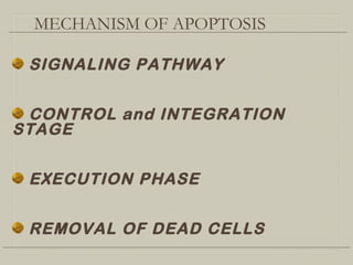 MECHANISM OF APOPTOSIS
SIGNALING PATHWAY
CONTROL and INTEGRATION
STAGE
EXECUTION PHASE
REMOVAL OF DEAD CELLS
 