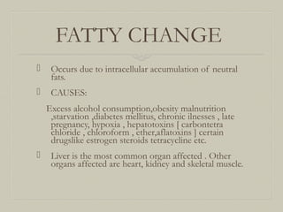 FATTY CHANGE
 Occurs due to intracellular accumulation of neutral
fats.
 CAUSES:
Excess alcohol consumption,obesity malnutrition
,starvation ,diabetes mellitus, chronic ilnesses , late
pregnancy, hypoxia , hepatotoxins [ carbontetra
chloride , chloroform , ether,aflatoxins ] certain
drugslike estrogen steroids tetracycline etc.
 Liver is the most common organ affected . Other
organs affected are heart, kidney and skeletal muscle.
 