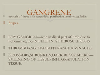 GANGRENE necrosis of tissue with superadded putrifaction.usually coagulative.
 3types.
 DRY GANGREN—seen in distal part of limb due to
ischemia. eg toes & FEET IN ATHEROSCLEROSIS
 THROMBOANGITISOBLITERANCE.RAYNAUDS.
 GROSS-DRY,SHRUNKEN,DARK BLACK.MICRO—
SMUDGING OF TISSUE/INFL.GRANULATION
TISSUE.
 