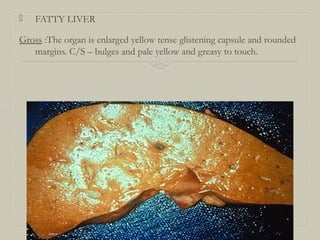  FATTY LIVER
Gross :The organ is enlarged yellow tense glistening capsule and rounded
margins. C/S – bulges and pale yellow and greasy to touch.
 