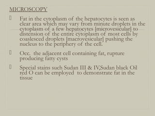MICROSCOPY
 Fat in the cytoplasm of the hepatocytes is seen as
clear area which may vary from minute droplets in the
cytoplasm of a few hepatocytes [microvesicular] to
distension of the entire cytoplasm of most cells by
coaslesced droplets [macrovesicular] pushing the
nucleus to the periphery of the cell.
 Occ. the adjacent cell containing fat, rupture
producing fatty cysts
 Special stains such Sudan III & IV,Sudan black Oil
red O can be employed to demonstrate fat in the
tissue
 
