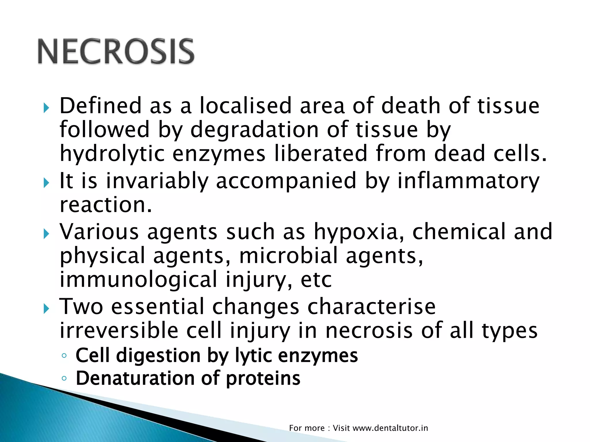 Necrosis PPTX Necrosis PPTX