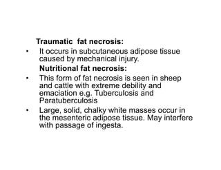 Traumatic fat necrosis:
• It occurs in subcutaneous adipose tissue
caused by mechanical injury.
Nutritional fat necrosis:
• This form of fat necrosis is seen in sheep
and cattle with extreme debility and
and cattle with extreme debility and
emaciation e.g. Tuberculosis and
Paratuberculosis
• Large, solid, chalky white masses occur in
the mesenteric adipose tissue. May interfere
with passage of ingesta.
 