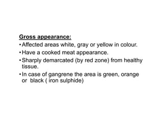 Gross appearance:
•Affected areas white, gray or yellow in colour.
•Have a cooked meat appearance.
•Sharply demarcated (by red zone) from healthy
•Sharply demarcated (by red zone) from healthy
tissue.
•In case of gangrene the area is green, orange
or black ( iron sulphide)
 