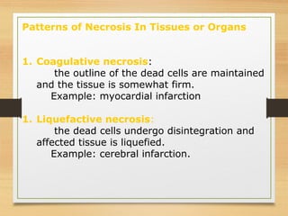 Patterns of Necrosis In Tissues or Organs
1. Coagulative necrosis:
the outline of the dead cells are maintained
and the tissue is somewhat firm.
Example: myocardial infarction
1. Liquefactive necrosis:
the dead cells undergo disintegration and
affected tissue is liquefied.
Example: cerebral infarction.
 