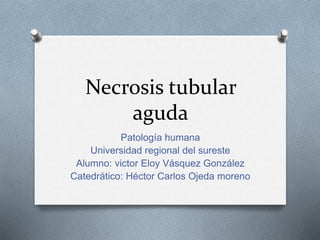 Necrosis tubular
aguda
Patología humana
Universidad regional del sureste
Alumno: victor Eloy Vásquez González
Catedrático: Héctor Carlos Ojeda moreno
 