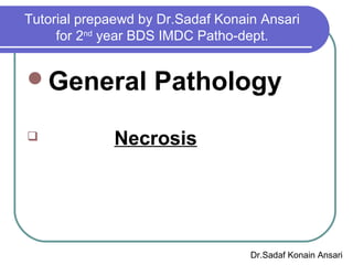Tutorial prepaewd by Dr.Sadaf Konain Ansari
for 2nd
year BDS IMDC Patho-dept.
General Pathology
 Necrosis
Dr.Sadaf Konain Ansari
 