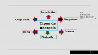 necrosis-licuefactiva-gangrenosa-caseosa-pptx