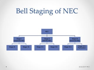 Bell Staging of NEC
NEC
Stage I
Suspected NEC
Stage IA Stage I B
Stage II
Definite NEC
Stage II A Stage II B
Stage III
Advanced NEC
Stage III A
Stage III B
Perforation
8/22/2019 41
 