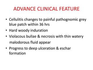 ADVANCE CLINICAL FEATURE
• Cellulitis changes to painful pathognomic grey
blue patch within 36 hrs
• Hard woody induration
• Violacous bullae & necrosis with thin watery
malodorous fluid appear
• Progress to deep ulceration & eschar
formation
 