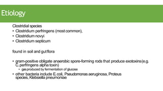 Etiology
Clostridial species
• Clostridium perfringens (mostcommon),
• Clostridium novyi
• Clostridium septicum
found in soil and gutflora
• gram-positive obligate anaerobic spore-forming rods that produce exotoxins(e.g.
C.perfringens alpha toxin)
• gasproduced by fermentation of glucose
• other bacteria include E.coli, Pseudomonasaeruginosa, Proteus
species, Klebsiella pneumoniae
 