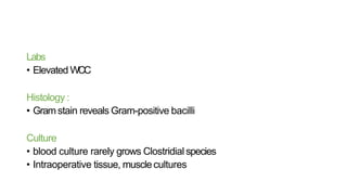 Labs
• Elevated WCC
Histology :
• Gram stain reveals Gram-positive bacilli
Culture
• blood culture rarely grows Clostridial species
• Intraoperative tissue, musclecultures
 